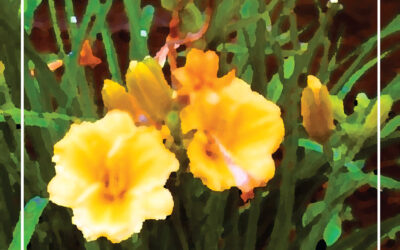 Newsletter for May 2026